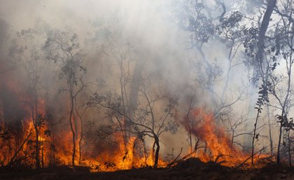 Flames burn through the Australian bush as smoke billows from the fire